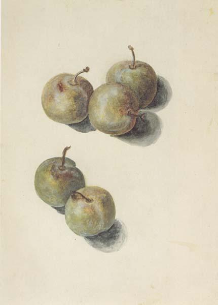 Edouard Manet Etude de cinq prunes (mk40)